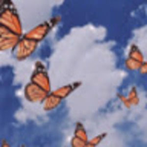 Meet your Posher, Juliana